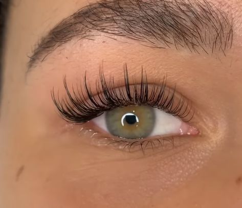 Pretty Eye Lashes, Eyelash Extensions Styles For Big Eyes, Doll Eyelash Extensions, Eyelash Ideas, Curly Eyelashes, Feminine Makeup, Lash Extentions, Classic Lashes, Eyelash Extensions Styles