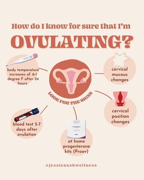 Signs Of Ovulation, Help Getting Pregnant, Ovulation Cycle, Cycle Tracking, Fertility Awareness Method, Calm Mood, Getting Pregnant Tips, Luteal Phase, Mother Health