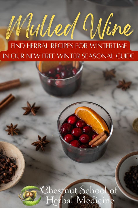 Sprinkled with snow dreams and frosted by starlight, the Winter Seasonal Guide is an ode to tending ourselves and our loved ones through the dark moons of winter, a guide for burnishing ourselves to brightness with the plants at our side. #herbalrecipes #foodismedicine #foodasmedicine #winter #solstice #mulledwine Mulled Wine Recipe Crockpot, Best Mulled Wine Recipe, Easy Mulled Wine, Homemade Mulled Wine, Mulled Wine Spices, Warm Cocktails, Mulled Wine Recipe, Wine Sangria, Wine Recipe