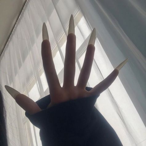 Cat Claw Nails, Long Natural Nails, Black Claws, Sharp Nails, Pointy Nails, Asian Nails, Claw Nails, Goth Nails, Glow Nails