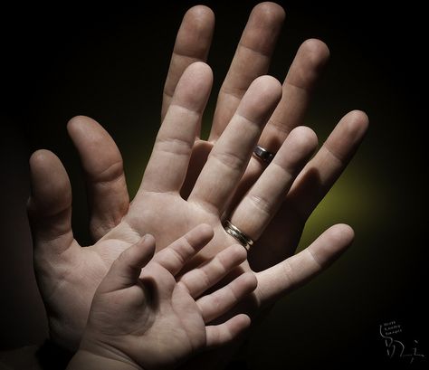 family hand photograph   # Pin++ for Pinterest # Portrait Poses Ideas, Family Portrait Ideas, Yellow Filter, Family Hands, Families Hands, Family Portrait Poses, Hand Photography, Family Photo Pose, Portrait Photos