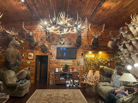 Deer Mounts In Living Room, Hunting Room Design, Hunting Mounts, Animal Mounts, Deer Mounts, Hunting Room, Trophy Rooms, Hunting Lodge, Animal Room