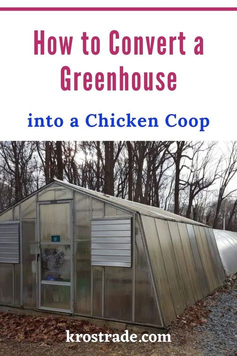 you might want to learn how to convert a greenhouse into a chicken coop. To get you started, read on. Chicken Coop Greenhouse, Greenhouse Chicken Coop, Farm Goals, Commercial Greenhouse, Backyard Poultry, Sacred Architecture, Gardening 101, Event Tent, Chicken Runs