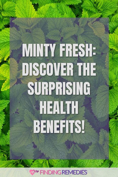 Minty Fresh: Discover the Surprising Health Benefits! Improving Digestion, Reduce Nausea, Respiratory Problems, Mint Essential Oil, Fruit Health Benefits, Fruit Benefits, Minty Fresh, Lungs Health, Aromatic Plant