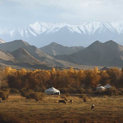 Khuvsgul Lake, Mongolia Landscape, Mongolia Photography, Offroad Photography, Mongolia Travel, Asian Continent, Altai Mountains, Hollow Earth, Gobi Desert