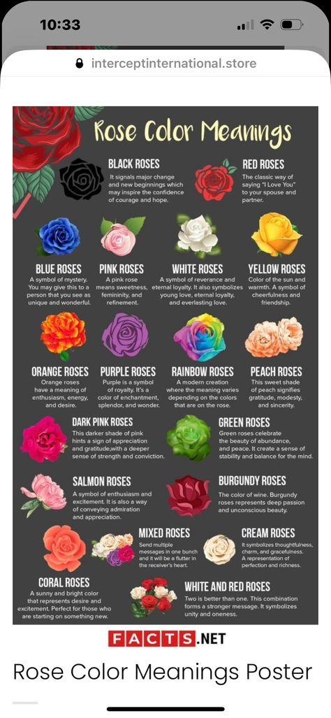 Flower Meanings Chart, Black Rose Meaning, Blue Rose Meaning, Rose Flower Colors, Different Color Roses, Rose Color Meanings, Rose Meaning, Blue Rose Tattoos, Red Rose Tattoo