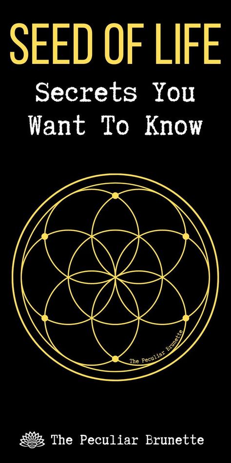 One of the most profound spiritual symbols is the Seed of Life found within the ancient sacred geometry symbols. It reminds us we’re all connected and part of the same Universe.This article will explore the Seed of Life’s meaning, history, origin, its correlation to the Flower of Life, and how to incorporate this beautiful symbol into your spiritual practice. #peculiartips Seed Of Life Symbol, Seed Of Life Tattoo Sacred Geometry, Seed Of Life Art, Seed Of Life Meaning, Alchemy Symbols Sacred Geometry, Seed Of Life Tattoo, Sacred Geometry Tree Of Life, Flower Of Life Meaning, Seed Of Life Mandala