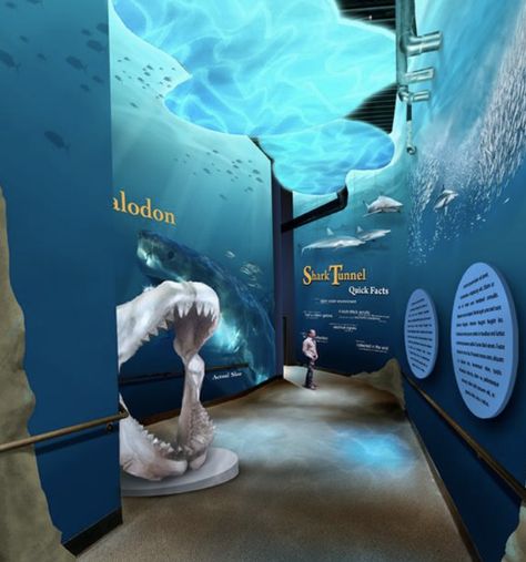 Shark Exhibit, Aquarium Poster, Aquarium Architecture, معرض فني, Got The Job, Museum Exhibition Design, Transparent Screen, Interactive Museum, Nature Museum