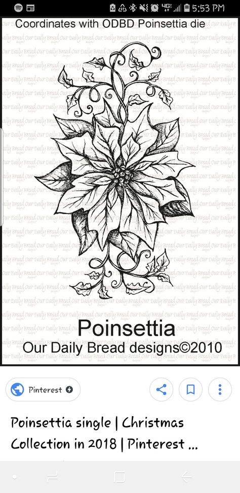 Poinsetta Tattoo Design, Pointsetta Tattoo Flower, Poinsettia Tattoo, Tattoo Style Drawings, Tattoo Idea, Christmas Watercolor, Lotus Flower Tattoo, Tattoo Style, Flower Tattoos