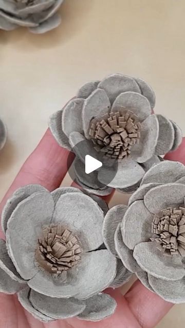 Diy Fleur, Egg Carton Crafts, Egg Tray, Egg Carton, Paper Towel Rolls, Flower Making, Paper Towel, Diy Handmade, Master Class