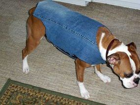 Diy Dog Clothes, Dog Jacket Patterns, Dog Wearing Clothes, Diy Dog Sweater, Diy Projects For Men, Dog Clothes Diy, Boxer (dog), Blue Jeans Crafts, Fleece Scarf