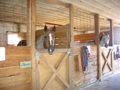 Horse stall ideas | House Interior - Half Doors - Suggestions & Ideas - Wurm Online Forum Horse Farm Ideas, Stall Fronts, Diy Horse Barn, Horse Barn Ideas Stables, Barn Stalls, Horse Barn Designs, Horse Shelter, Dream Horse Barns, Horse Stall