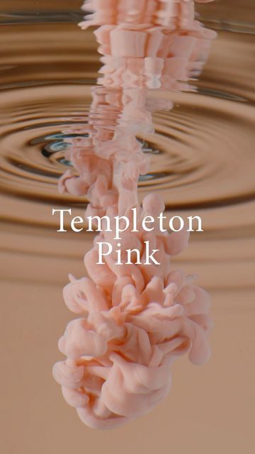 Farrow And Ball Templeton Pink, Templeton Pink Farrow And Ball, Pink Farrow And Ball, Templeton Pink, Trending Paint Colors, 29 September, Farrow And Ball, Paint Colours, Farrow Ball