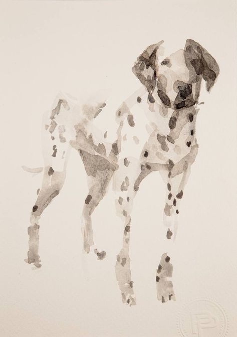 Original Art Watercolor Painting, measuring: 18W x 25H x 0.1D cm, by: Paolo Pagani (Italy). Styles: Minimalism, Impressionism. Subject: Animal. Keywords: Black, Dog, White, Minimal, Watercolor, Dalmatian, Painting. This Watercolor Painting is one of a kind and once sold will no longer be available to purchase. Buy art at Saatchi Art. Watercolor Dalmatian, Dalmatian Illustration, Dalmatian Painting, Dog Alphabet, Dog Sketches, Edward Tulane, Paw Print Art, Minimal Watercolor, Dog Watercolor Painting