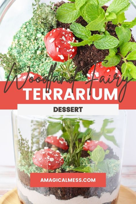 How to make a magical little edible terrarium. This layered dessert is perfect for woodland fairy themed parties, or any summer or spring event. Each layer looks like the makings of a lush forest, but is a tasty treat to make a tasty dessert. See how to make the cookie mushrooms and assemble the whole centerpiece. Enchanted Garden Desserts, Enchanted Forest Desserts, Cake Terrarium, Terrarium Dessert, Dessert Terrarium, Edible Terrarium Dessert, Edible Terrarium, Magical Desserts, Fall Desserts Thanksgiving