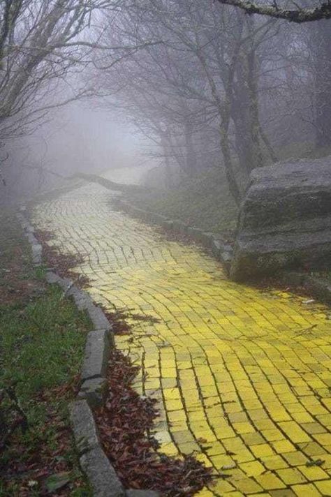 Land Of Oz Once Attracted 400,... is listed (or ranked) 1 on the list "Land Of Oz" Is The Creepy Abandoned Theme Park That Opens Once A Year For Anyone Who Dares Visit Creepy Yellow Aesthetic, Dorothy Must Die, Oz Aesthetic, City Of Adelaide, Beech Mountain, Abandoned Amusement Park, Inktober 2023, Follow The Yellow Brick Road, Dorothy Gale