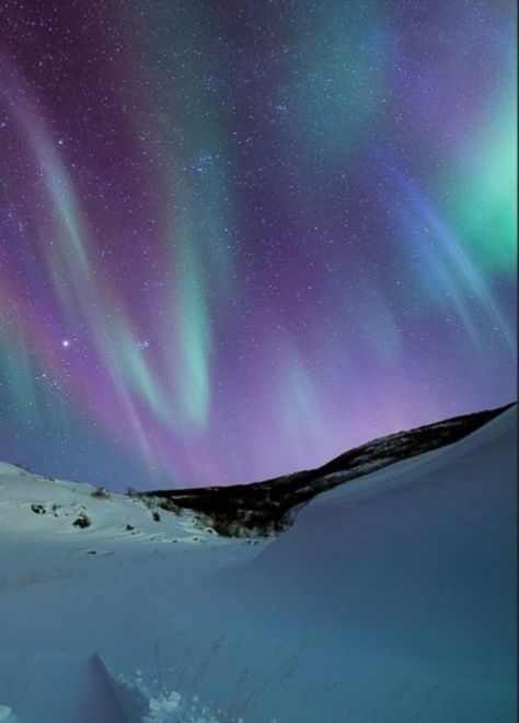 Aurora Borealis Aurora Lights, Light Codes, Light Em Up, Aurora Australis, Northern Exposure, Northern Lights (aurora Borealis), Aurora Borealis Northern Lights, Beautiful Skies, Polar Light