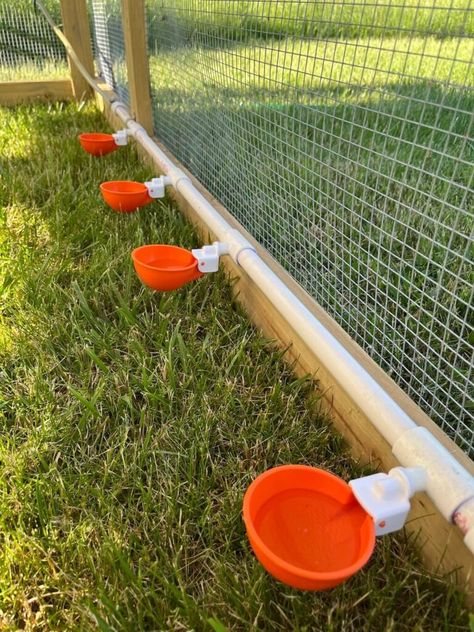 How to Make a Gravity DIY Chicken Waterer with PVC - A Productive Household Diy Chicken Waterer, Pvc Chicken Waterer, Homemade Chicken Feeder, Diy Chicken Toys, Chicken Watering System, Chicken Waterer Diy, Pvc Chicken Feeder, Chicken Water Feeder, Chicken Feeder Diy