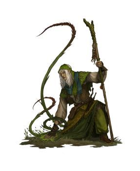 Diablo Game, Forest Elves, Dnd Druid, Elf Druid, Pathfinder Character, Wood Elf, Dungeons And Dragons Characters, Fantasy Setting, High Fantasy