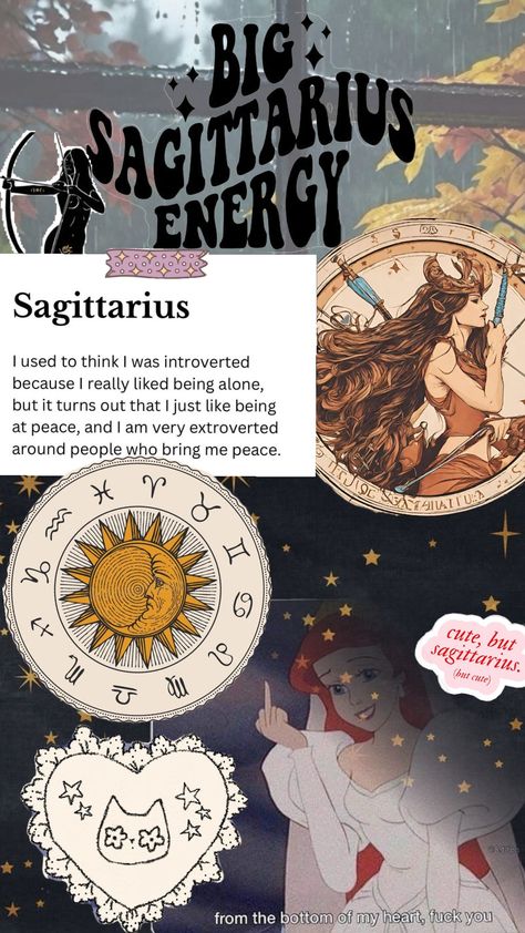 Zodiac sagittarius Zodiac Sagittarius, Bring It On, Turn Ons, Pins, Quick Saves