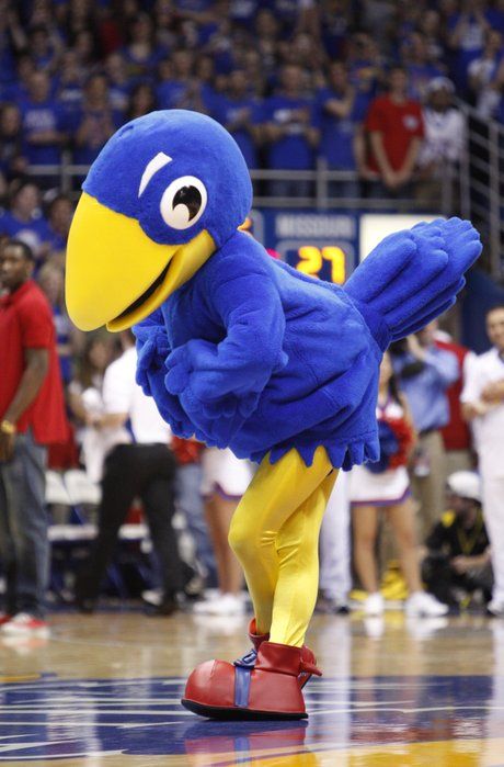 Cjay Allen Fieldhouse, Ku Basketball, Vintage Mascot, Kansas Basketball, Kansas University, Go Ku, Rock Chalk Jayhawk, Ku Jayhawks, Bird Costume