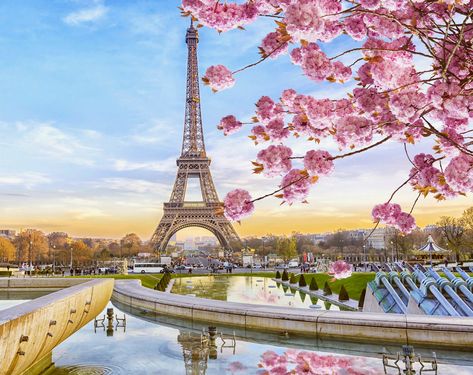 Tacky Tourist Traps To Avoid In Paris, and What To Do Instead Paris France, Eiffel Tower, Tower, Paris, France, Flowers, Pink