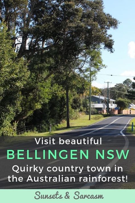 Things to do in Bellingen NSW, a historic Australian town with bohemian boutiques, quirky cafes & stunning waterfalls in nearby Dorrigo National Park rainforest, New South Wales. #australia #traveldestinations #rainforest #waterfalls Bellingen Nsw, Caravan Life, Travelling Australia, Australian Photography, Caravan Camping, Port Stephens, Australia Itinerary, Sydney City, Australian Travel