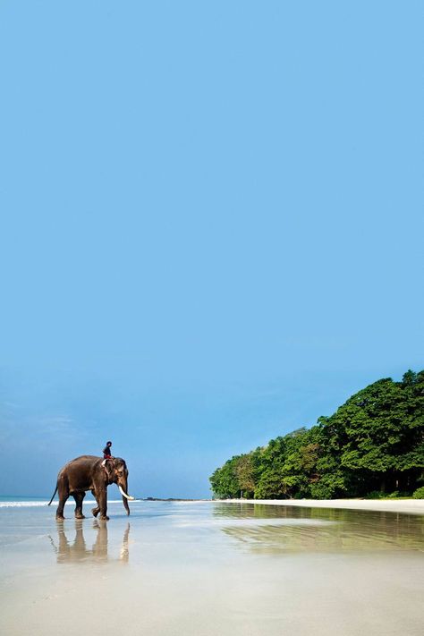 Havelock Island, Andaman Islands, Andaman And Nicobar Islands, Bay Of Bengal, Astral Travel, Uk Travel, Phuket, Goa, Wonders Of The World