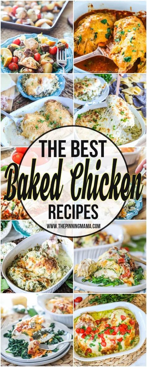 The BIG List of Baked Chicken Recipes • The Pinning Mama The Best Baked Chicken, Best Baked Chicken, Chicken Recipes For Dinner, Honey Glazed Ham, Pumpkin French Toast, Mushroom Burger, Cooking Challenge, Recipes For Dinner, Baked Chicken Recipes