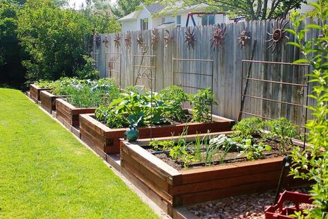 Planting is a truly satisfying hobby and the feeling of eating fresh vegetables from your backyard is simply amazing! We prepared a couple of tips for you. Backyard Vegetable Garden, Garden Bed Layout, Vertical Vegetable Garden, Garden Layout Vegetable, Lawn Design, Herb Garden Design, Backyard Vegetable Gardens, Garden Design Layout, Garden Area