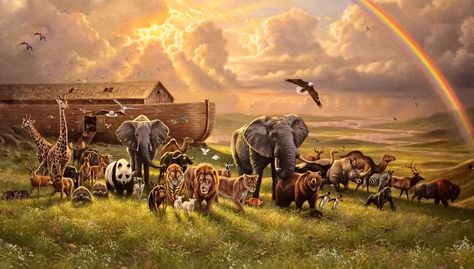 Noah's Ark Art, Good Morning Gifs, Ali Bin Abi Thalib Art, Morning Gifs, Jesus Background, Daily Wishes, Noahs Ark Animals, Revelation Bible, Wild Animal Wallpaper