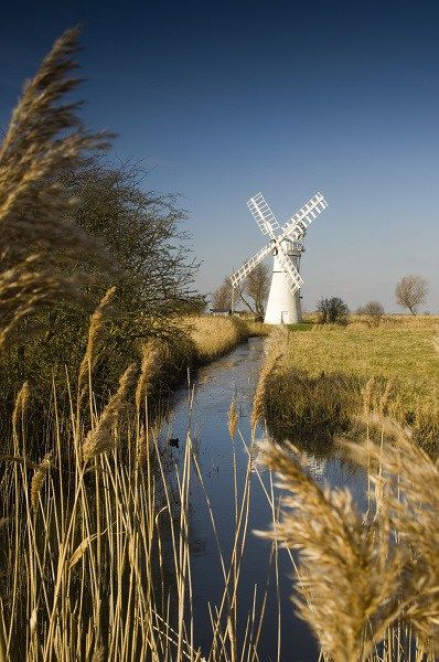 windmill Norfolk North Norfolk, Art Examples, Norfolk Broads, Norfolk England, Sailing Holidays, Norfolk Coast, Food And Travel, British Food, Water Art