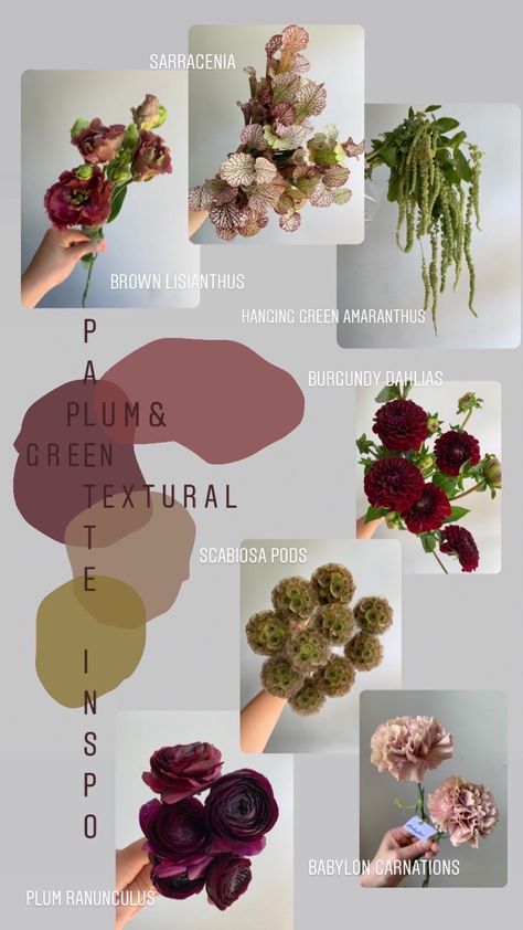 Textural flowers in plum and green, inspired by sarracenia flowers Wedding Flowers Types, Flowers Types, Wedding October, Plum Wedding, Dream Wedding Decorations, Color Pallete, Green Palette, Palette Inspiration, Cut Flower Garden