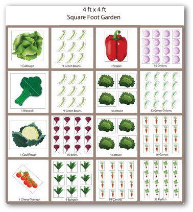 19 Vegetable Garden Plans & Layout Ideas That Will Inspire You Raised Bed Vegetable Garden Layout, Square Foot Gardening Plans, Growing Carrots, Vegetable Garden Planner, Vegetable Garden Raised Beds, Garden Layout Vegetable, Small Vegetable Gardens, Vegetable Garden Planning, Fall Vegetables