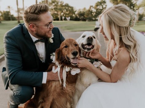 Wedding photos with dog Dog Wedding Pictures, Dog Wedding Photos, Dogs Wedding, Wedding Photography Shot List, Dogs Ideas, Romantic Beach Wedding, Wedding Portrait Poses, Photos With Dog, Wedding Picture Poses