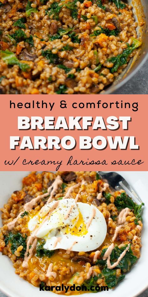 Super savory and hearty, this farro grain bowl with eggs is packed with veggies and drizzled with a creamy harissa sauce for a kick! It's a flavorful and easy breakfast recipe that will keep you satisfied for hours. Farro Breakfast Bowl, Farro Recipes Breakfast, Farro Breakfast Recipes, Farro Breakfast, Harissa Sauce, Grain Bowl Recipe, Farro Recipes, Hummus Bowl, Breakfast Bowls Recipe