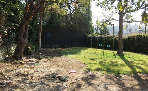 Overgrown Backyard Makeover, Garden Before And After, Backyard Simple Landscaping, Small Backyard Makeover, Hardscape Backyard, Backyard Playset, California Backyard, Backyard Trees, I Spy Diy