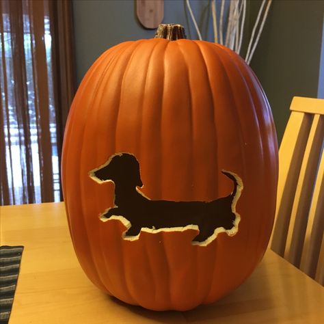 Weenie Dog Pumpkin Carving, Pumpkin Carving Dachshund, Pumpkin Carving Ideas Dachshund, Weiner Dog Pumpkin Carving, Sausage Dog Pumpkin Carving, Wiener Dog Pumpkin Carving, Dachshund Pumpkin Carving Ideas, Weiner Dog Pumpkin, Dachshund Pumpkin Carving