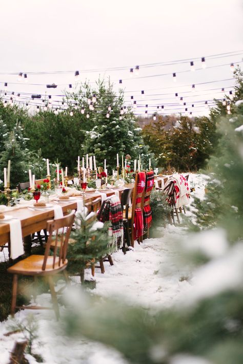 winter weddings - photo by Alicia King Photography http://ruffledblog.com/christmas-tree-farm-wedding-inspiration-with-tradition Christmas Tree Farm Wedding, Tree Farm Wedding, Christmas Wedding Dresses, Outdoor Winter Wedding, Winter Wedding Photos, King Photography, Wedding Themes Winter, Winter Wonderland Wedding, Winter Wedding Inspiration