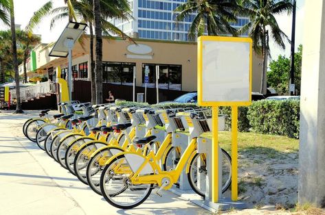 Yellow bicycle rental. Rental of bikes in Fort Lauderdale, South Florida , #AFFILIATE, #rental, #Rental, #Yellow, #bicycle, #bikes #ad City Bicycle, Yellow Bicycle, Light City, Bike Rental, Bicycle Design, Fort Lauderdale, South Florida, Park Slide, Wordpress Theme