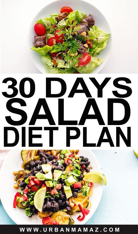 30 Days Salad Diet Plan 1200 Calorie Diet Meal Plans, Salad Diet, Best Diet Foods, Best Fat Burning Foods, Best Diet Plan, Low Fat Diets, Diet Keto, Fat Burning Foods, Best Diets