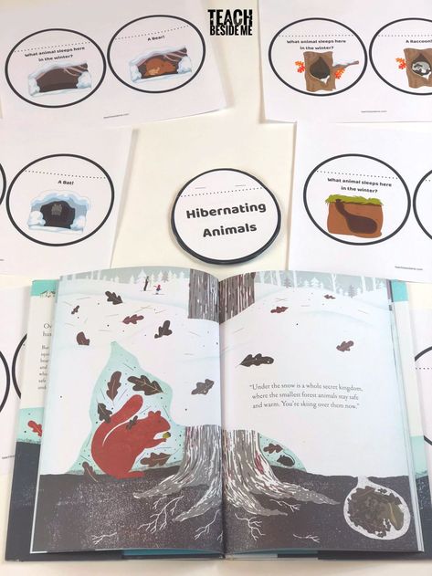 Over And Under The Snow Book Activities, Hibernation Kindergarten, Over And Under The Snow, Hibernation Preschool Theme, Kindergarten Animals, Hibernation Preschool Activities, Hibernation Preschool, Hibernating Animals, Hibernation Activities