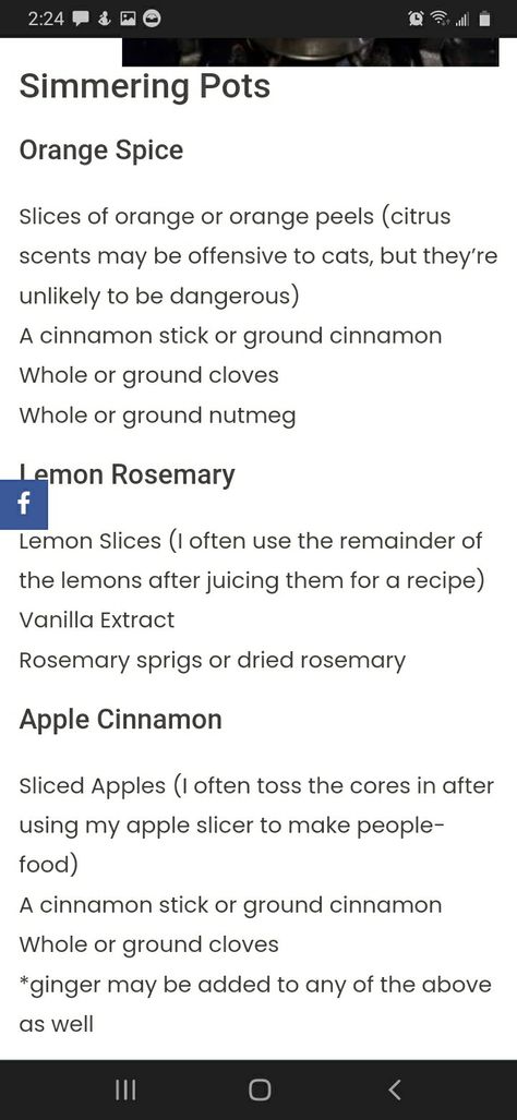 Simmer Pot Recipes Witchcraft, Christian Witch, Simmering Pot, Simmer Pots, Simmer Pot Recipes, Apple Slicer, Witchcraft Herbs, Simmer Pot, Halloween Snack