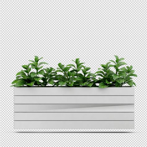 Isometric plant 3d rendering Tropical Flowers Illustration, Cladding Texture, Box Architecture, Architecture Elevation, Architecture Sketchbook, Plant Box, Architecture Collage, Photoshop Images, Green Texture