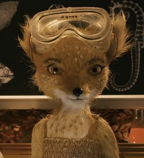 Fantastic Mr Fox, Mr Fox, Fox