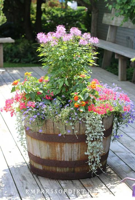 These creative ideas for planting wagons, carts, bikes, wheelbarrows, and whiskey barrels come from home gardens. Wagon Planter Ideas, Whiskey Barrel Planter Flowers, Barrel Planter Ideas, Barrel Garden Planters, Barrel Flowers, Whiskey Barrel Planter, Rustic Plant Stand, Wagon Planter, Unusual Planter