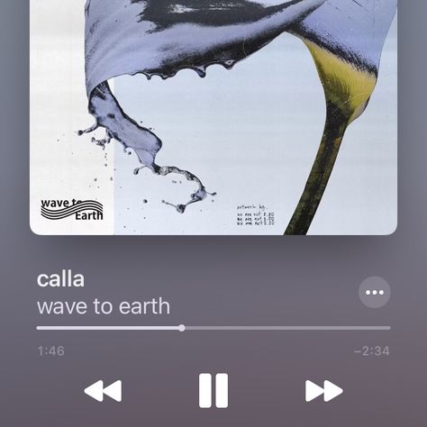 Calla Wave To Earth, Moodboard Daily Activity, Daily Activity Unfiltered Theme, Wave To Earth, Music Collage, Daily Activity, Sisters Forever, Album Songs, Music Albums