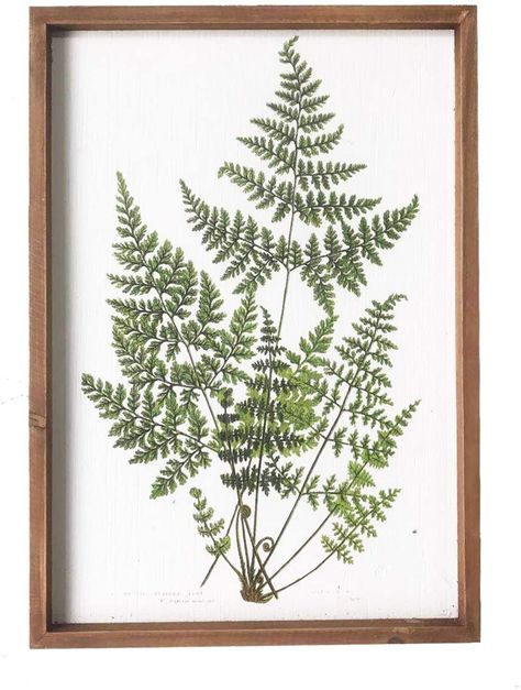 Fern Prints, Plant Prints, Framed Plants, Plant Wall Decor, Rustic Wood Walls, Framed Botanicals, Botanical Poster, Leaf Wall Art, Botanical Painting