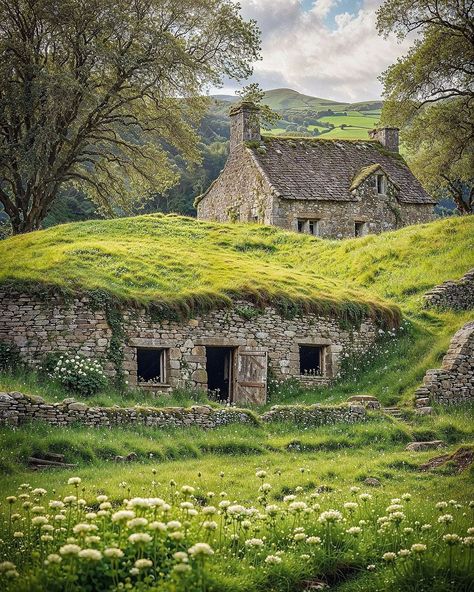 Irish Seaside Cottage, Irish Stone Cottage, Irish Cottage Aesthetic, Scotland Homes, Ireland Farm, Irish Farmhouse, Ireland Houses, Irish Architecture, Ireland Cottage