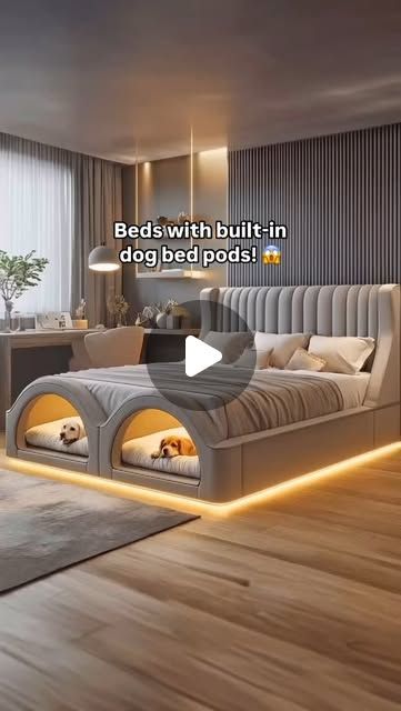 Dog Bed Beside Human Bed, Window Bed Design, Bed With Dog Bed Underneath, Dog Bedroom Ideas, Dog Pod, Bed Frame Ideas, Weird Beds, Unusual Beds, Flower Landscaping